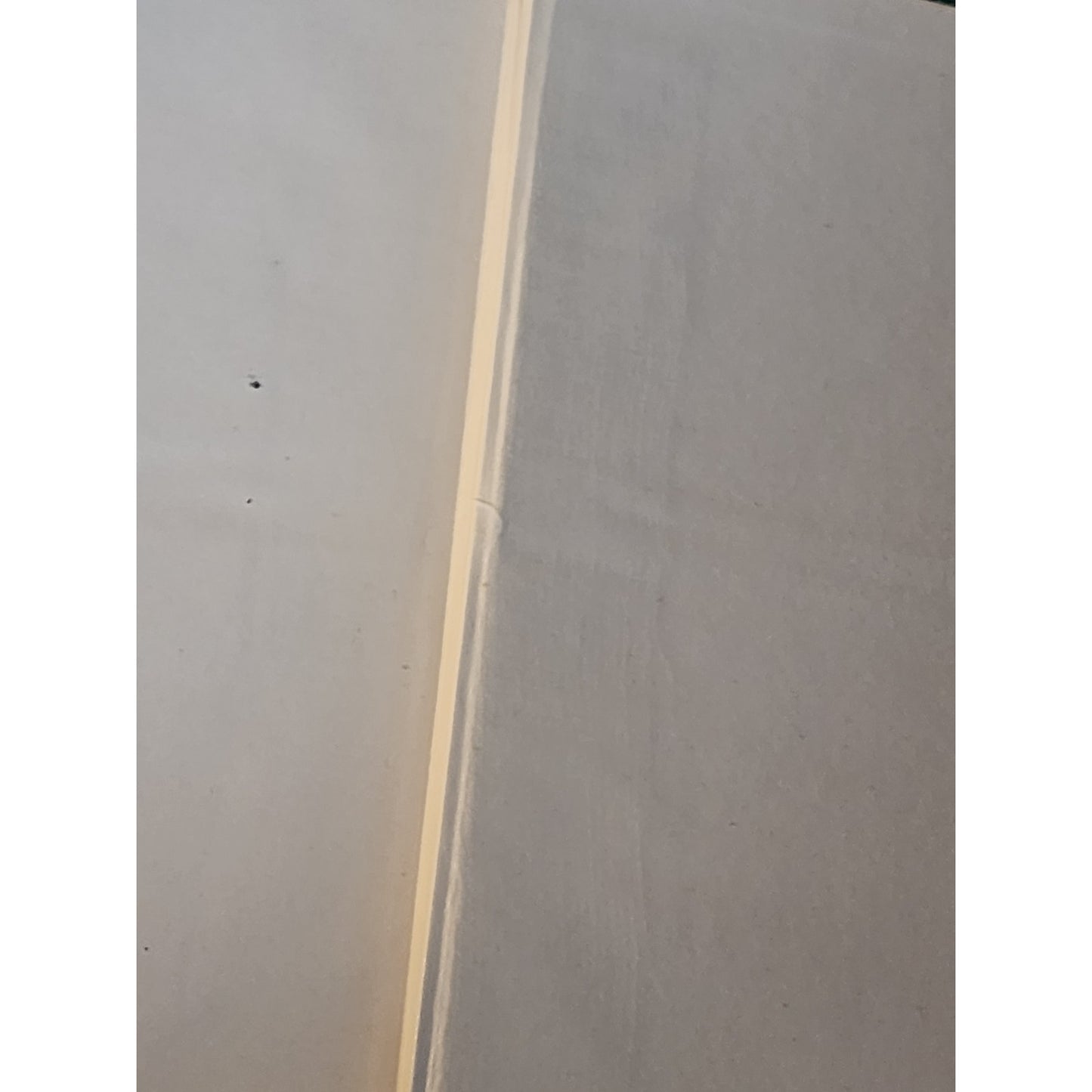 Works of Louise Muhlbach 4 Volume Mohammed Ali Merchant Andreas Goethe Vintage