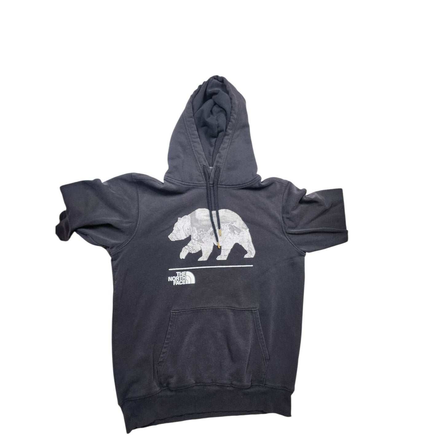 North Face Hoodie Mens Small Womens Medium Bear Graphic Pullover Sweatshirt Y2K