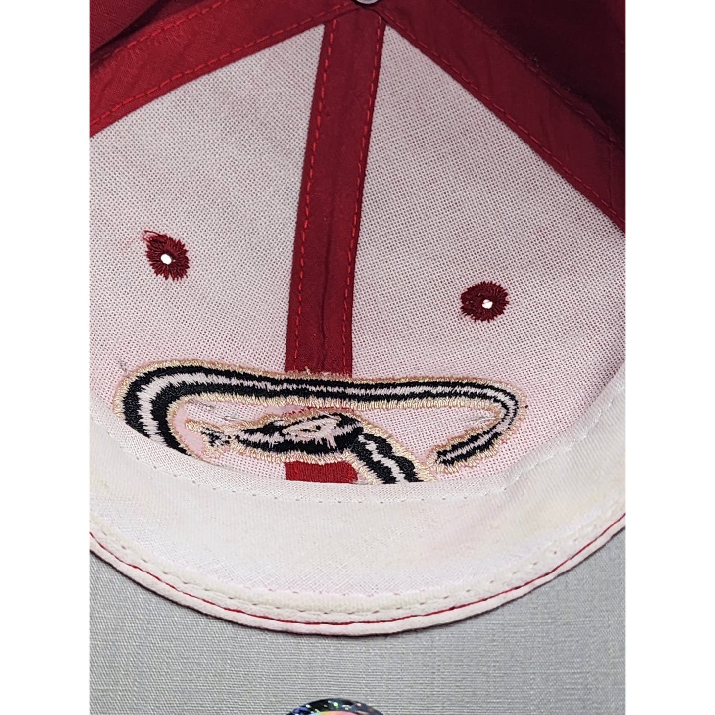 Arizona Diamondbacks Hat Team MLB Outdoor Baseball Cap Strapback Snake Logo
