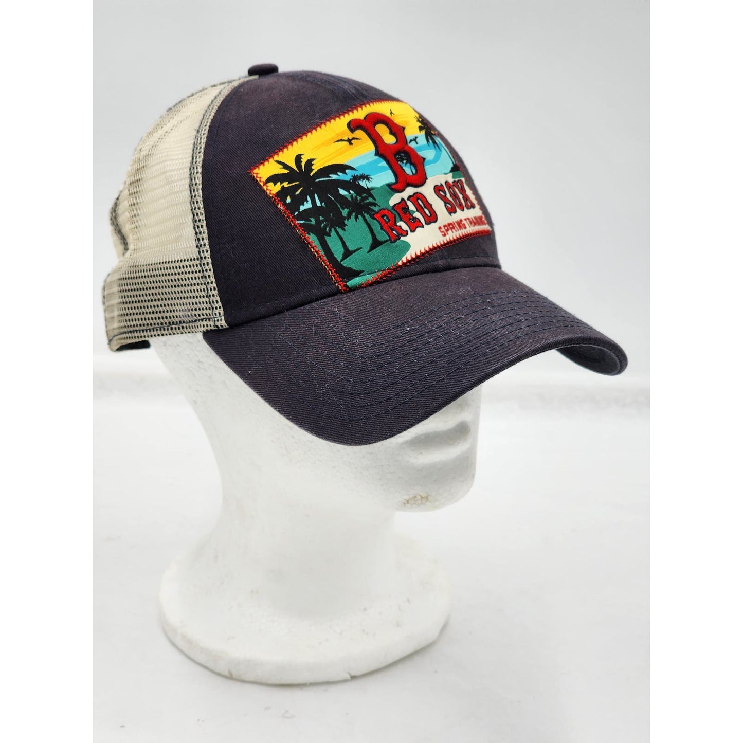 Boston Red Sox Hat Spring Training New Era 9Forty Adjust Snapback Baseball Cap