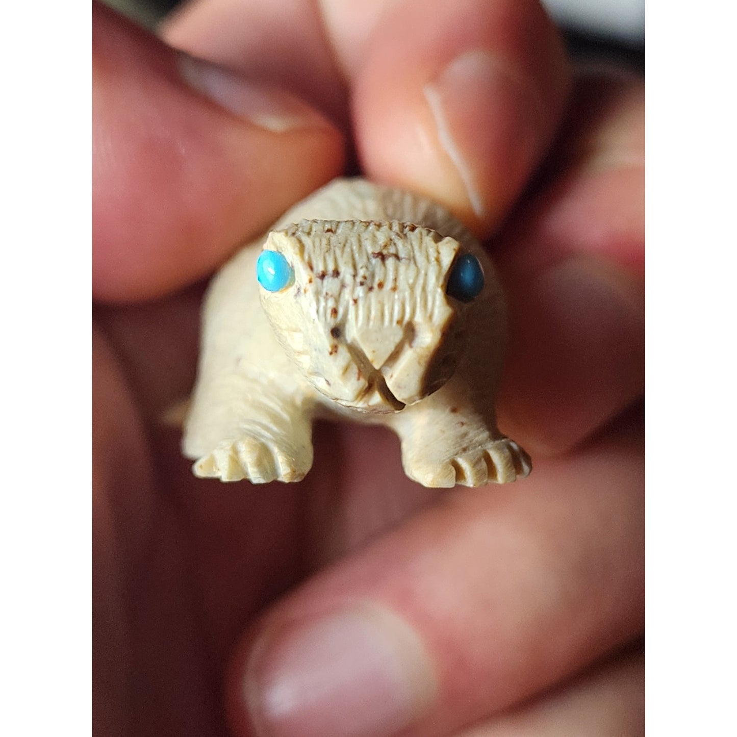 Native American Zuni Reptile Fetish Carving Turquoise Totem Southwest Art Signed