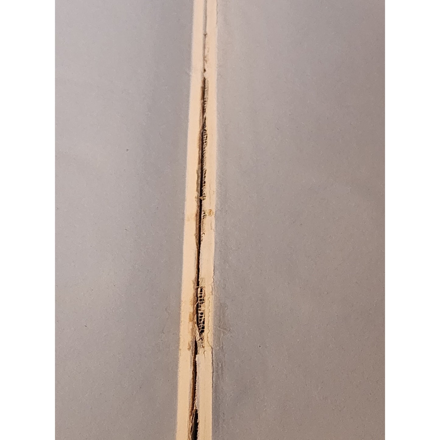 Works of Louise Muhlbach 4 Volume Mohammed Ali Merchant Andreas Goethe Vintage