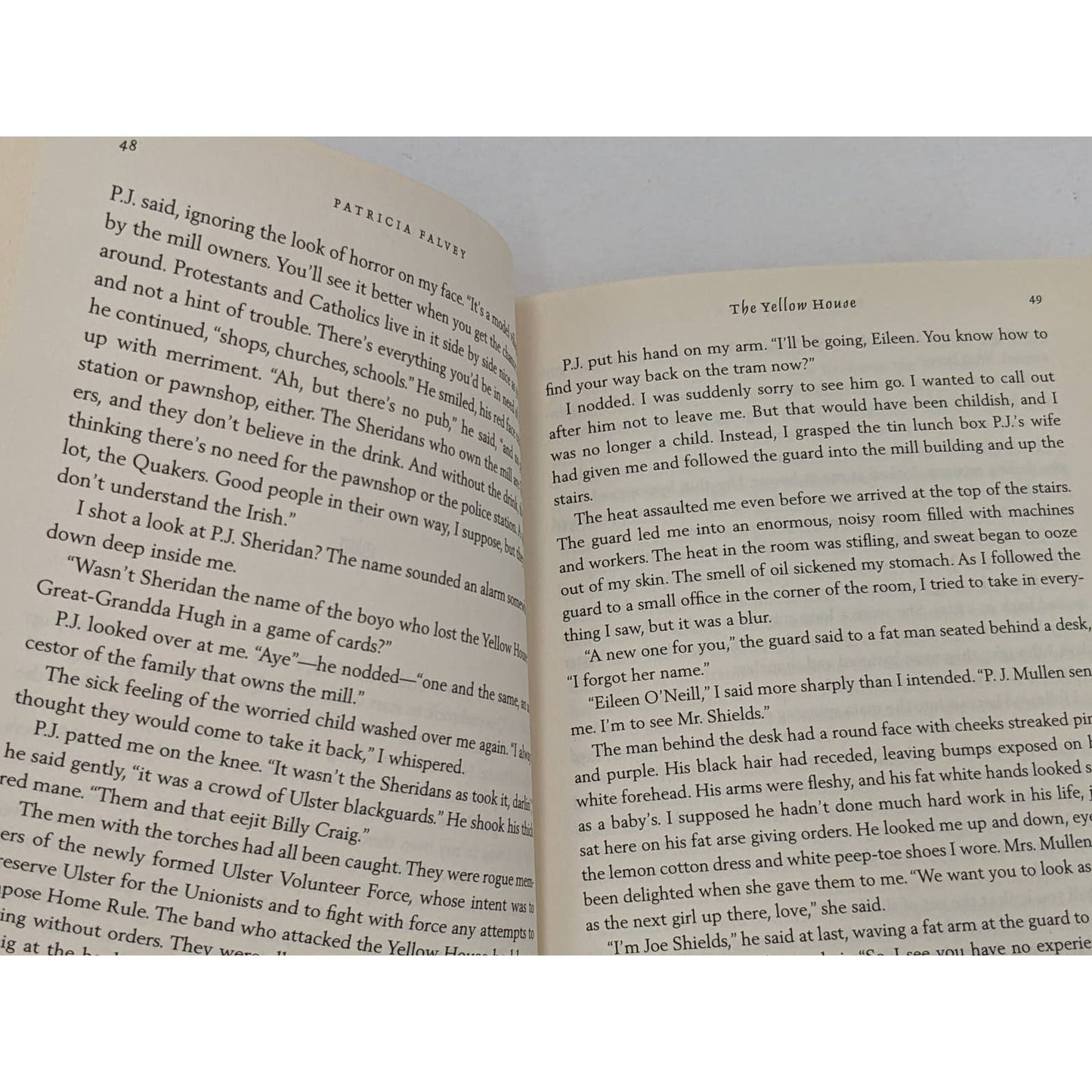 The Yellow House A Novel By Patricia Falvey Best Seller First Trade Edition 2011