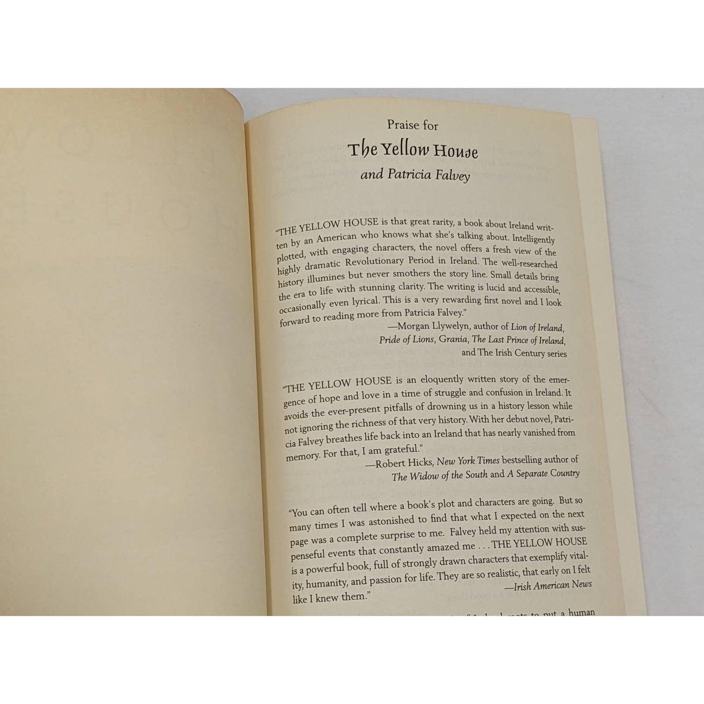 The Yellow House A Novel By Patricia Falvey Best Seller First Trade Edition 2011