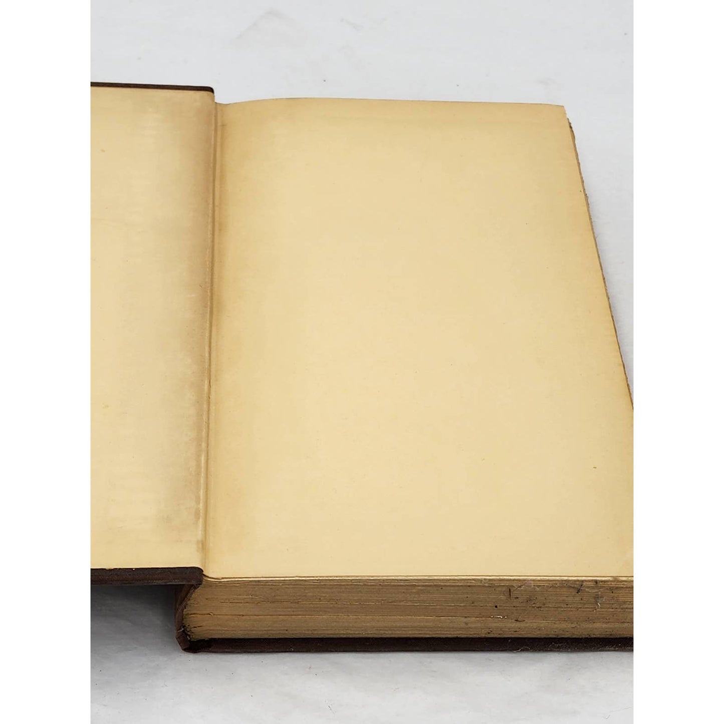 The Pumpkin Coach By Louis Paul First Edition Vintage Novel 1935