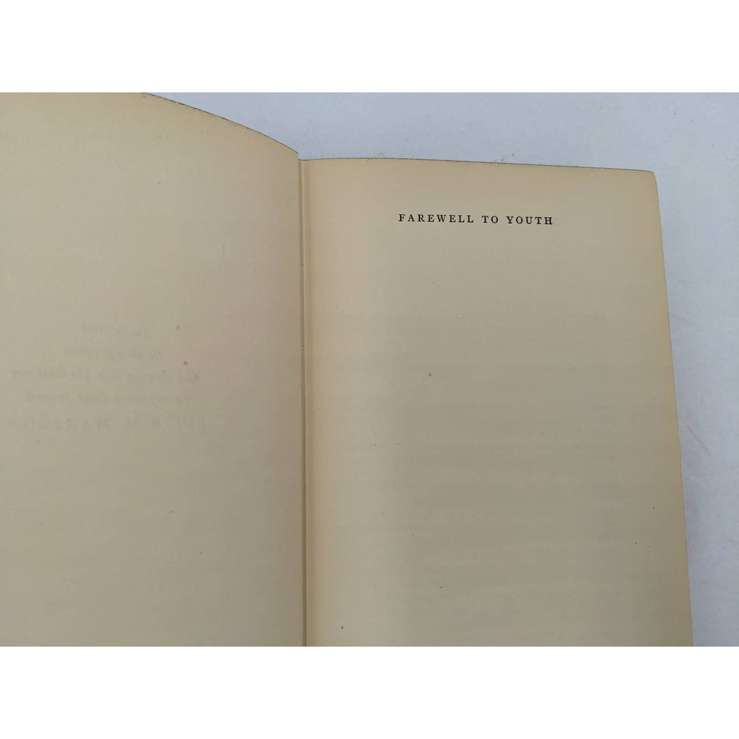 Farewell To Youth By Storm Jameson Novel War Vintage 1928