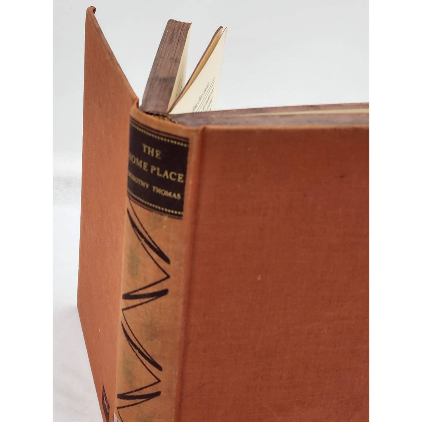 The Home Place By Dorothy Thomas Illustrated First Edition Vintage 1936