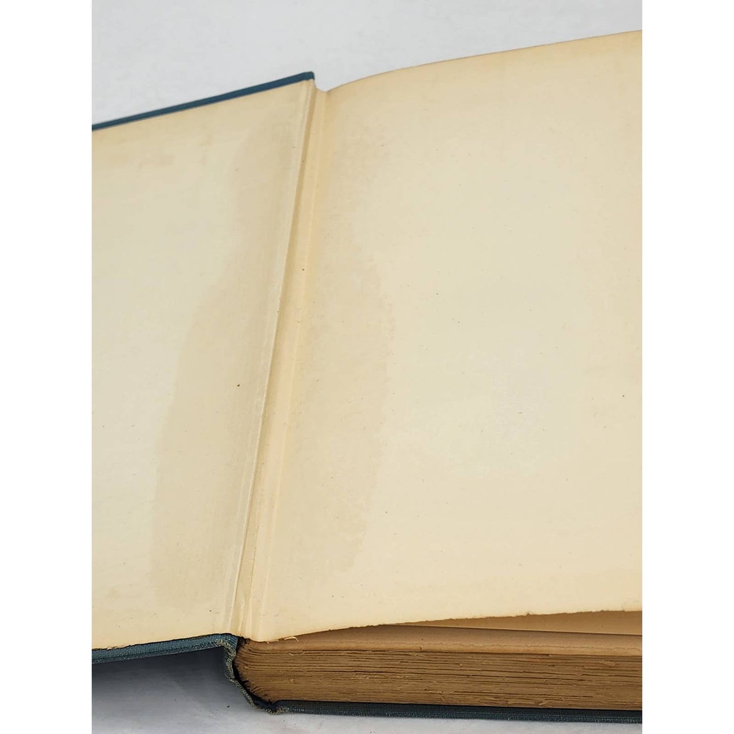 Singing In The Rain By Anne Shannon Monroe Antiquarian 1926