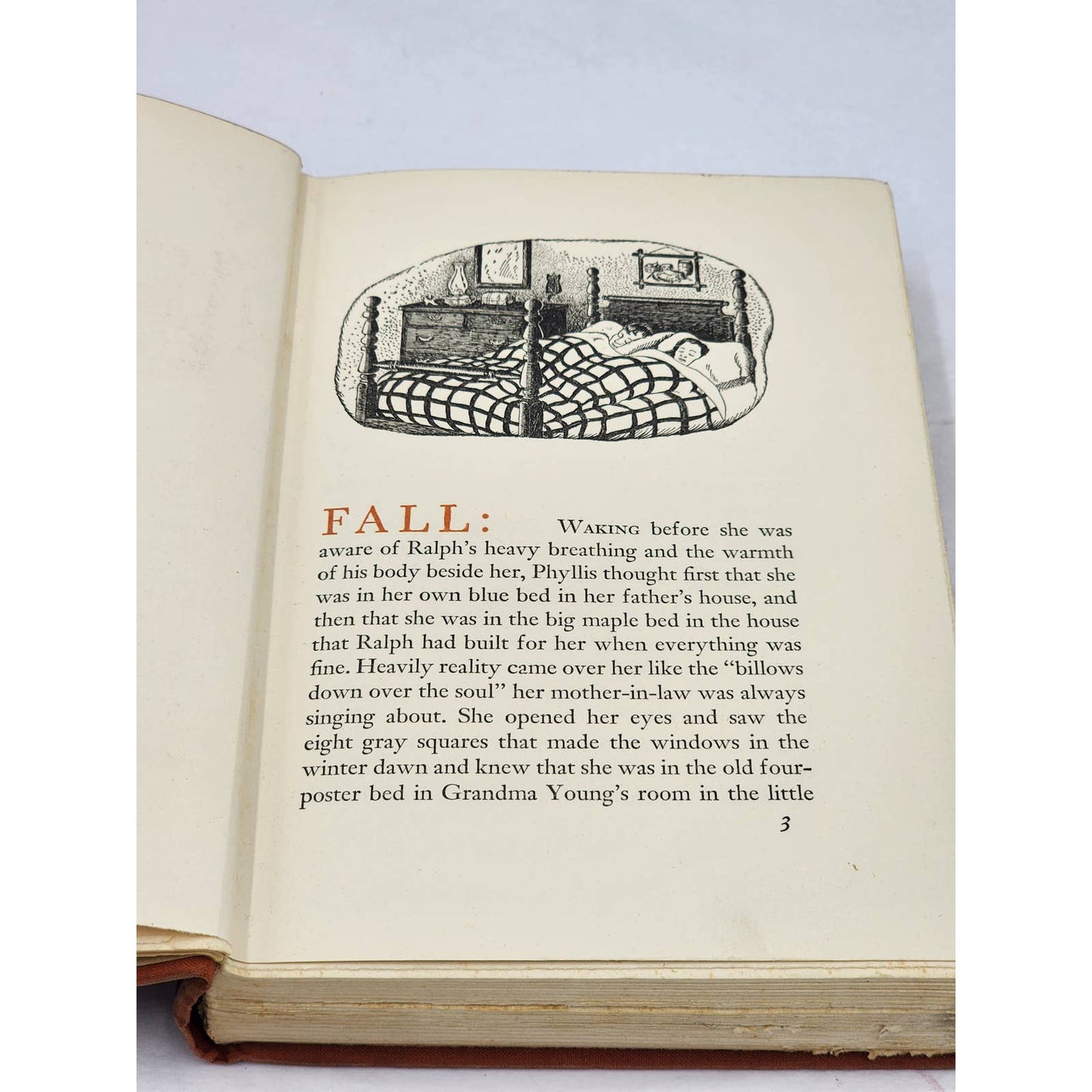 The Home Place By Dorothy Thomas Illustrated First Edition Vintage 1936