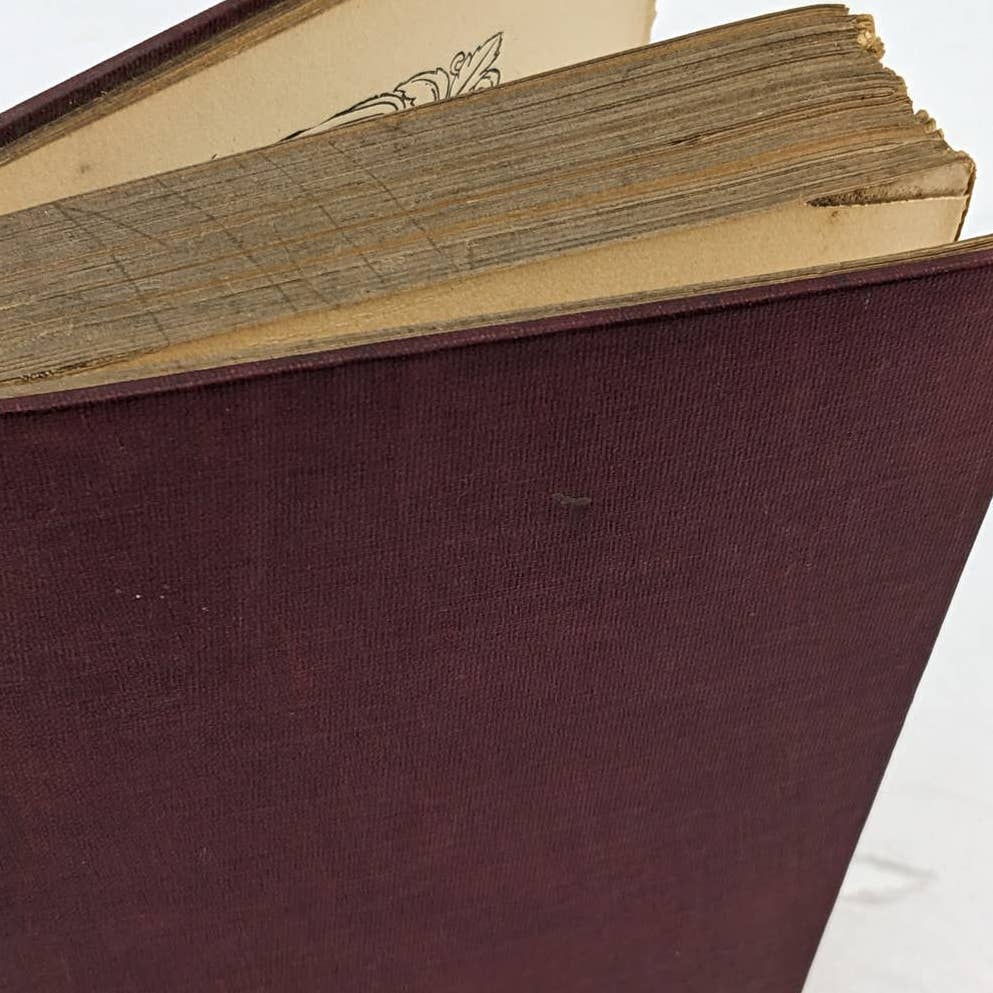 Travels With A Donkey In Cevennes Inland Voyage By Robert Louis Stevenson  1909