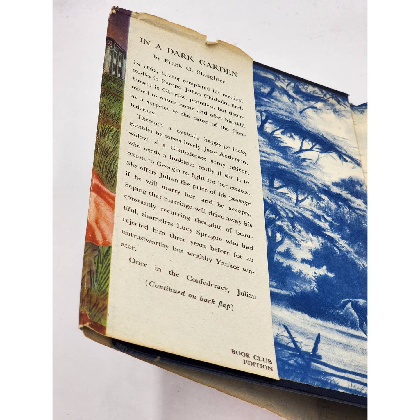 In A Dark Garden Frank Slaughter Romantic Novel Historical Victoria Vintage 1947