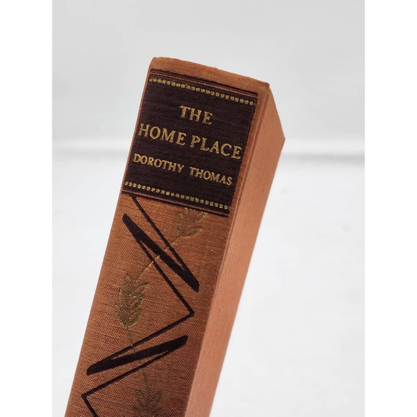 The Home Place By Dorothy Thomas Illustrated First Edition Vintage 1936