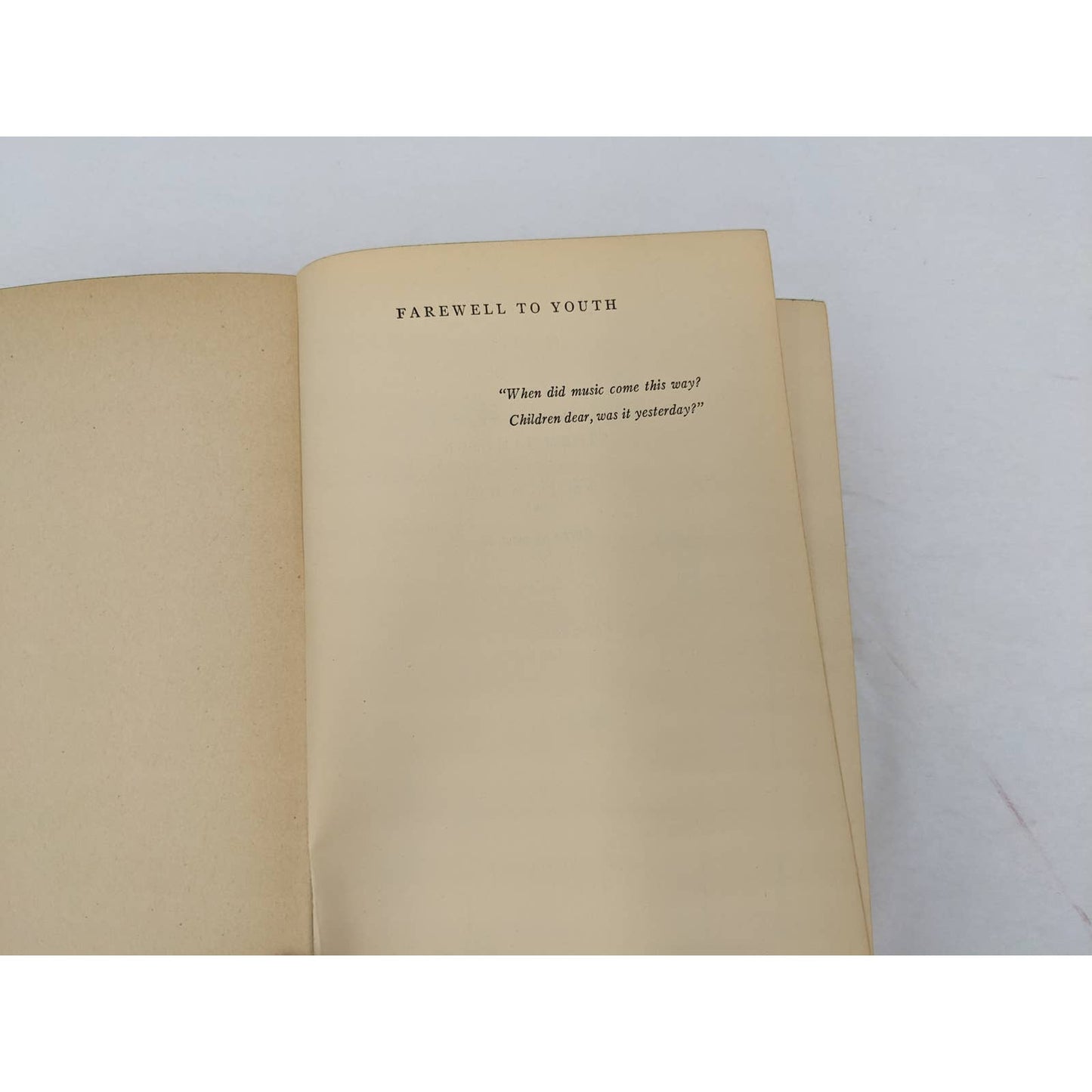 Farewell To Youth By Storm Jameson Novel War Vintage 1928