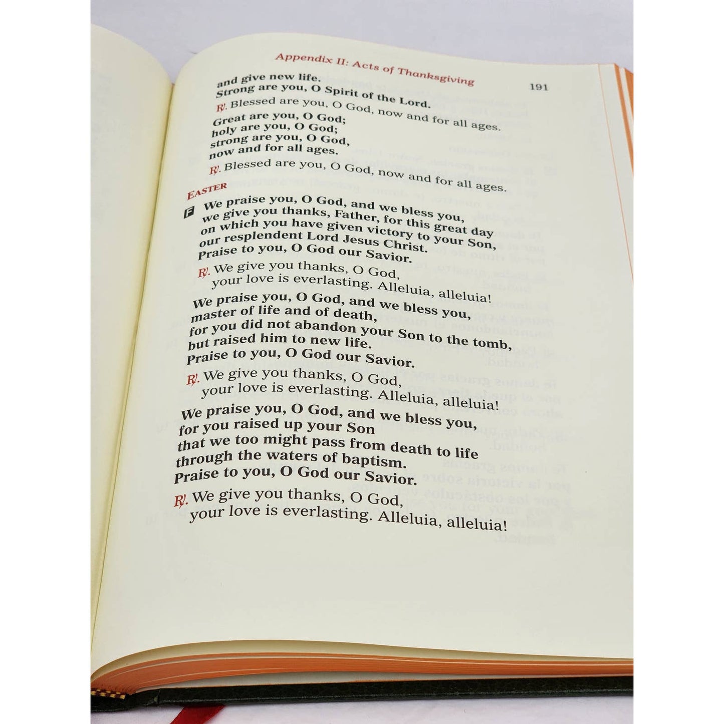 Sunday Celebrations In The Absence Of A Priest Leadership Edition Catholic 1994