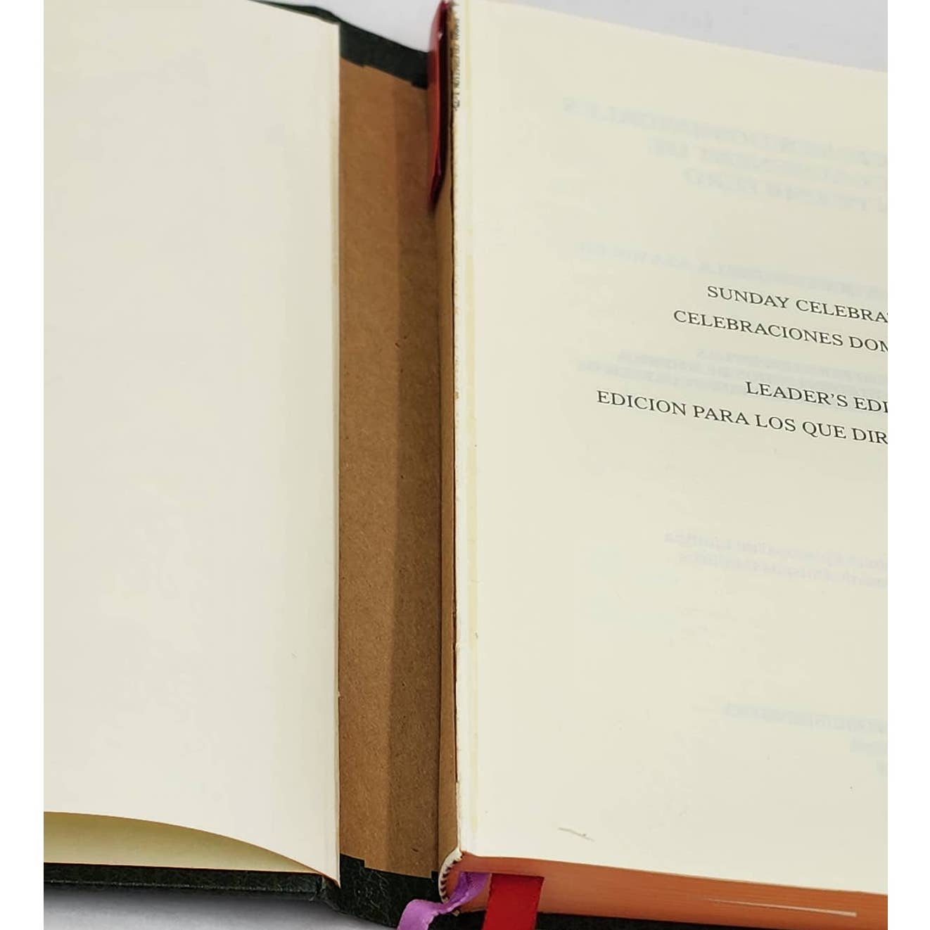 Sunday Celebrations In The Absence Of A Priest Leadership Edition Catholic 1994