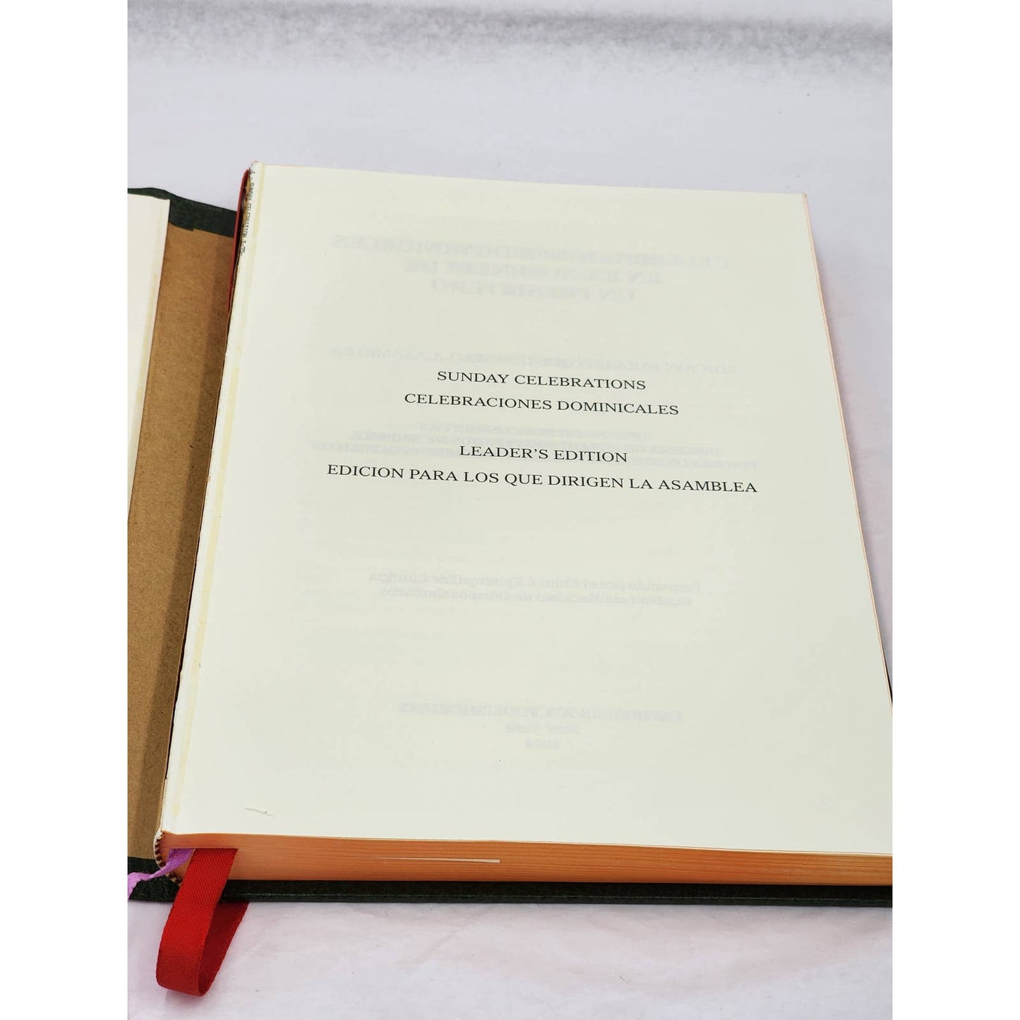 Sunday Celebrations In The Absence Of A Priest Leadership Edition Catholic 1994