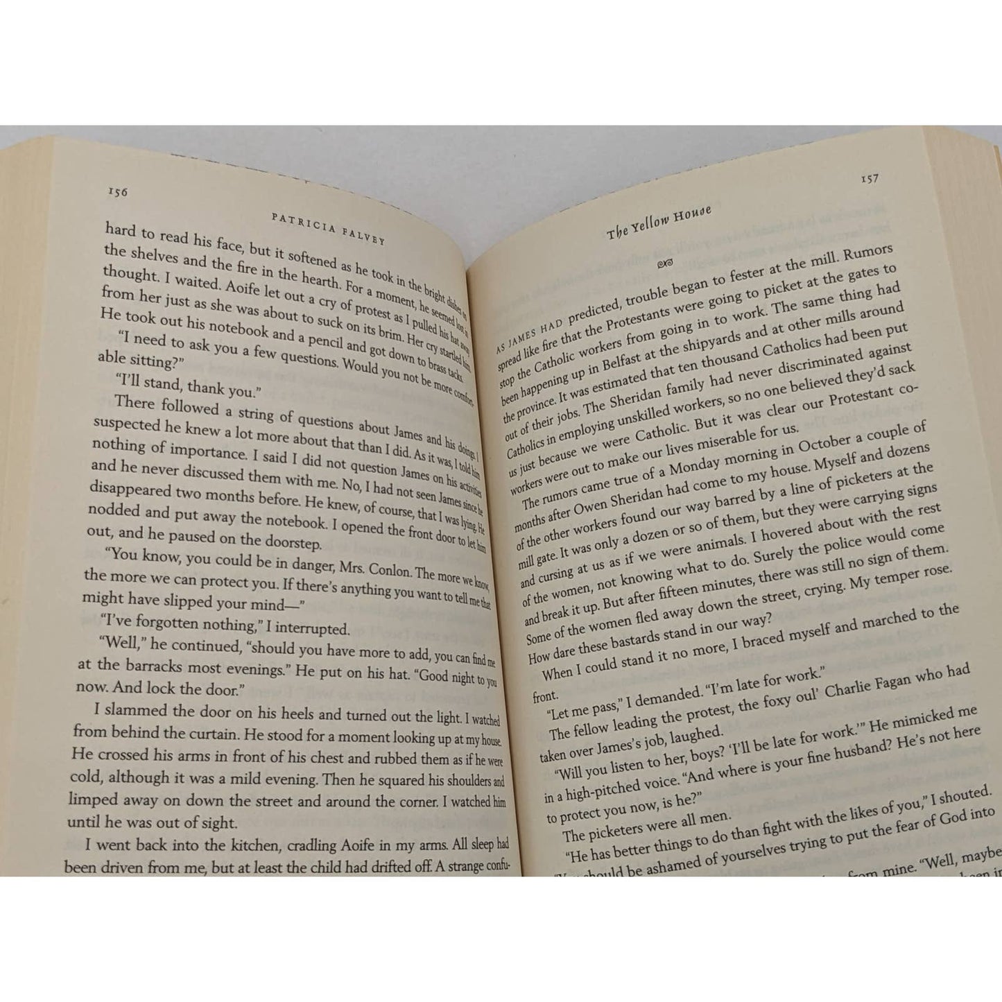 The Yellow House A Novel By Patricia Falvey Best Seller First Trade Edition 2011