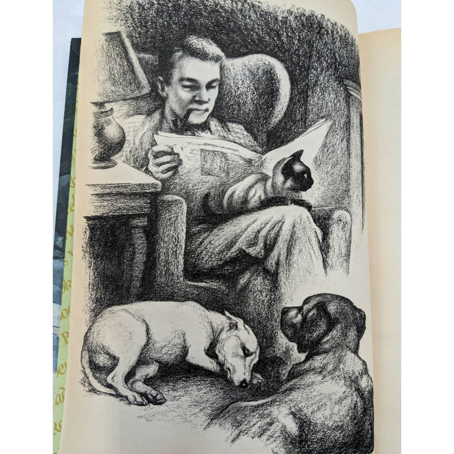 Incredible Journey A Tale Of Three Animals By Sheila Burnford Vintage Novel 1961