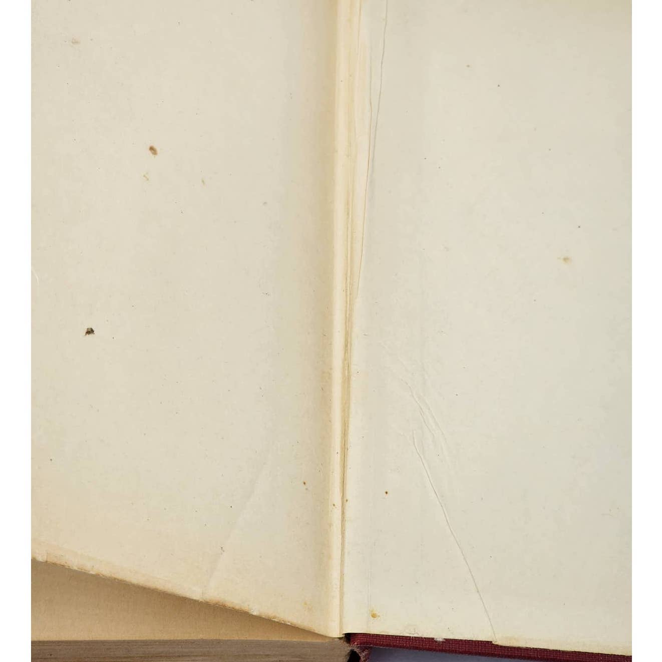 Faith Desmond Last Stand By Elizabeth Jordan, Vintage Book Novel 1924