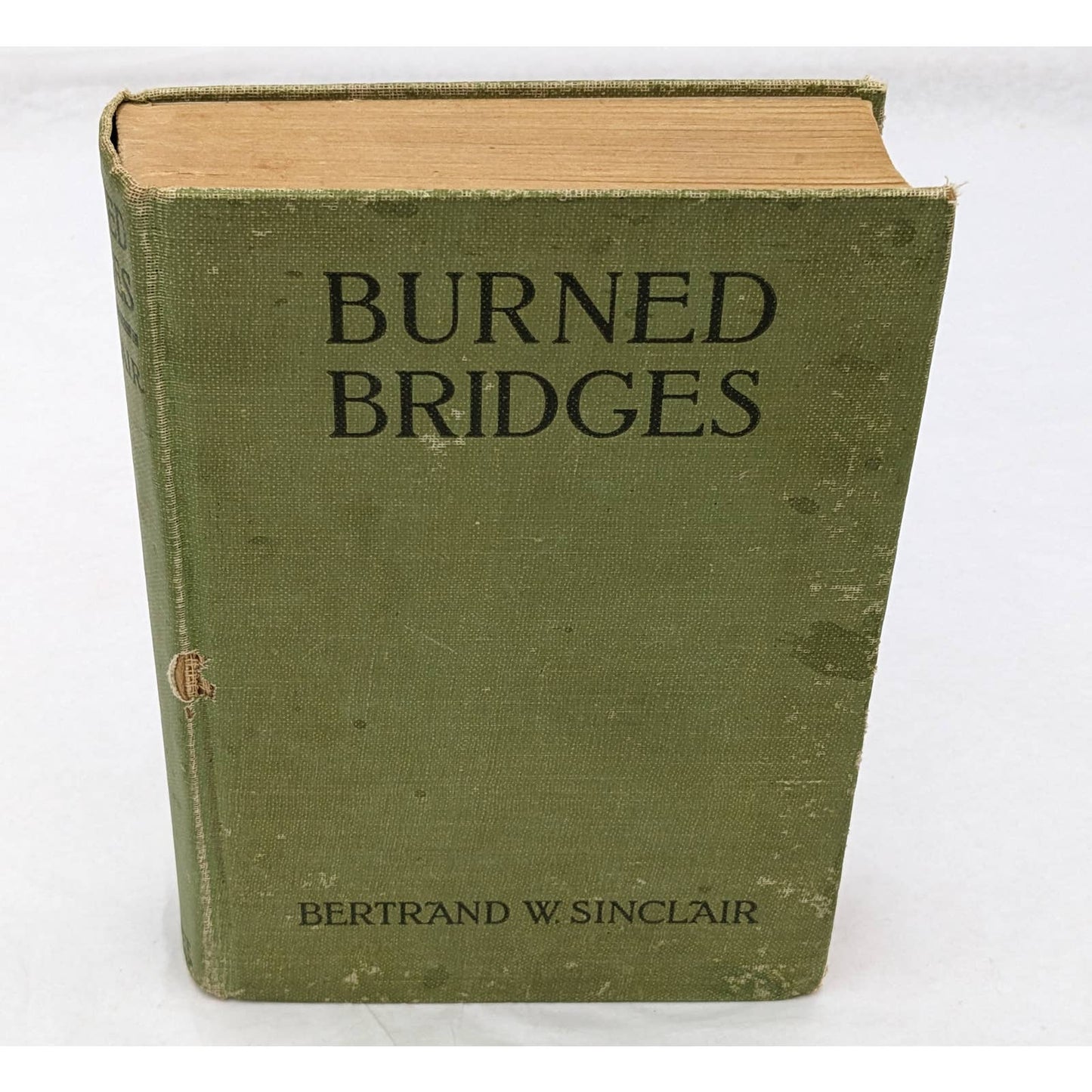 Burned Bridges By Bertrand W. Sinclair Vintage Antiquarian Novel 1920