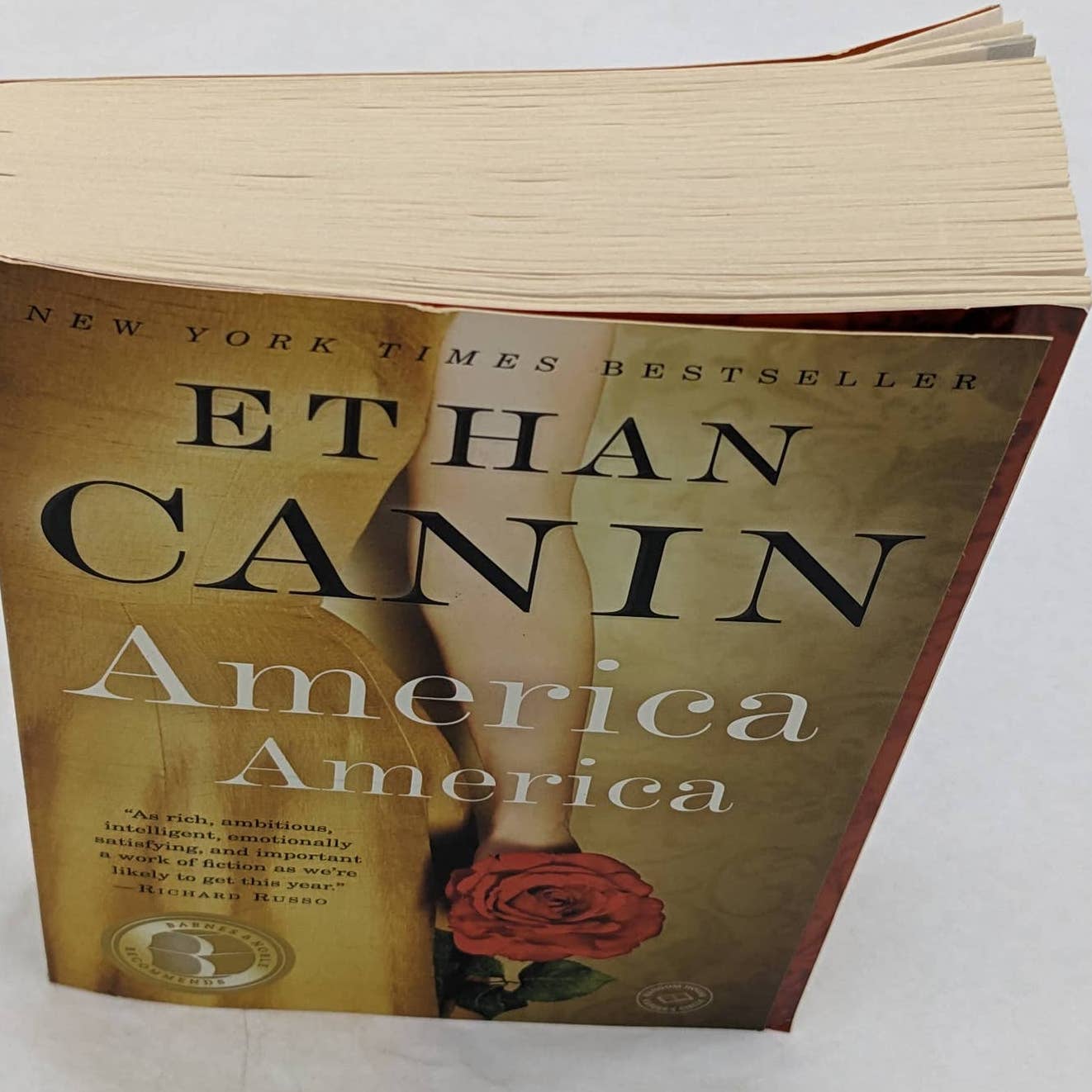 America America By Ethan Canin Novel Paperback Best Selling Book