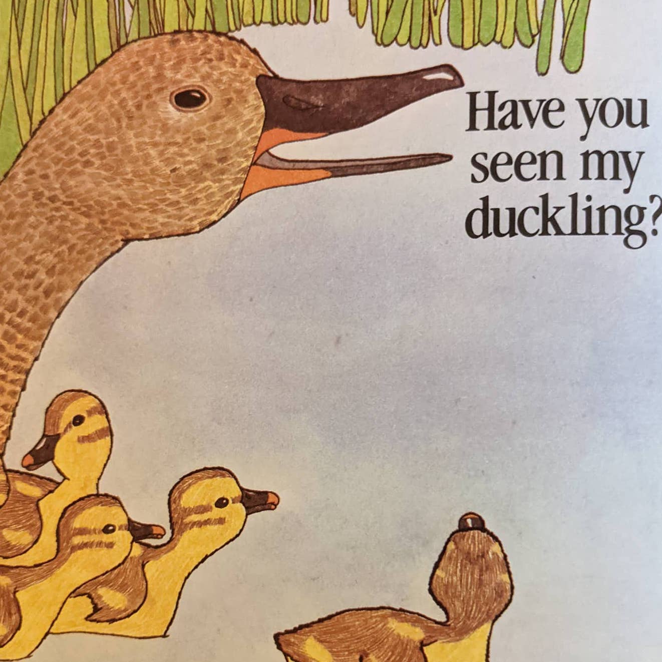 Have You Seen My Duckling? By Nancy Tafuri Scholastic Childrens Book