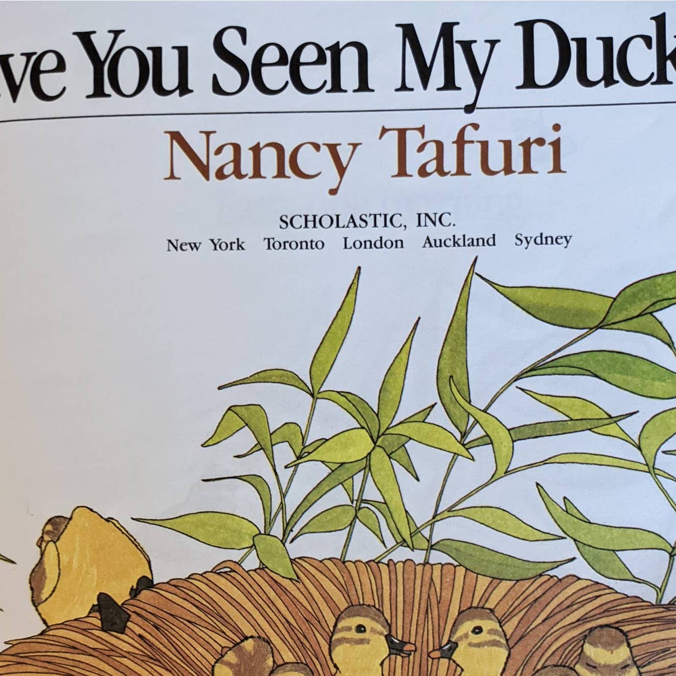 Have You Seen My Duckling? By Nancy Tafuri Scholastic Childrens Book