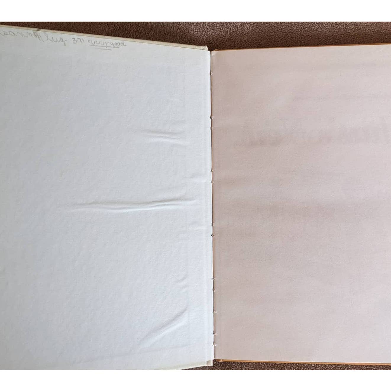 What's New Lincoln? 1970 By Dale Fife Illustrations Childrens Book Club Edition