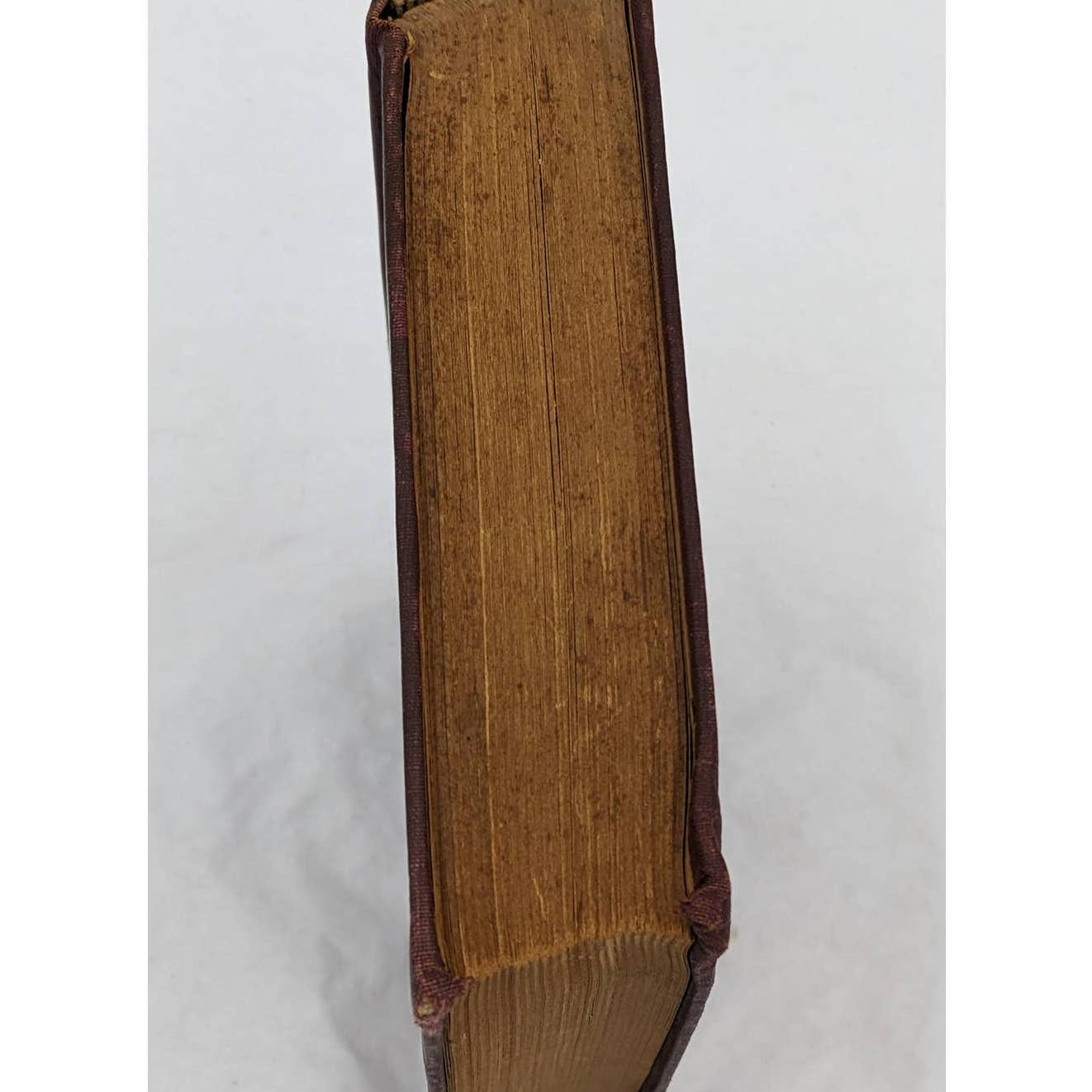 We Two By Edna Lyall Novel Book Antiquarian