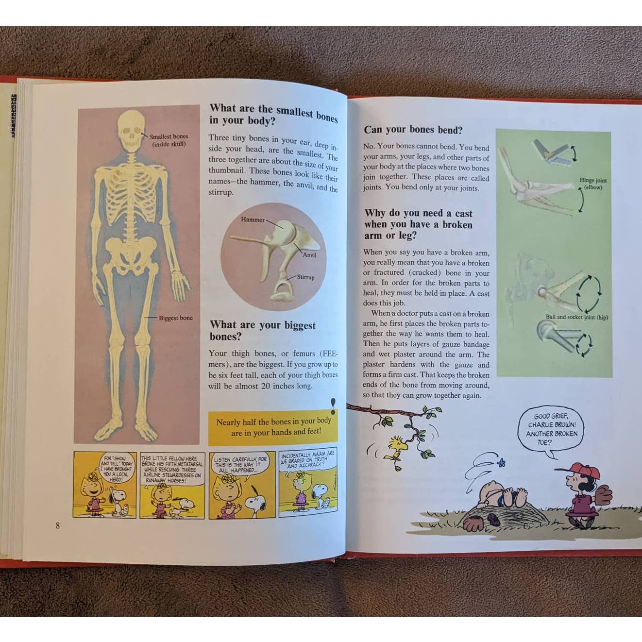 Charlie Brown's Cyclopedia, Featuring Your Body Volume 1 By Charles M. Schulz
