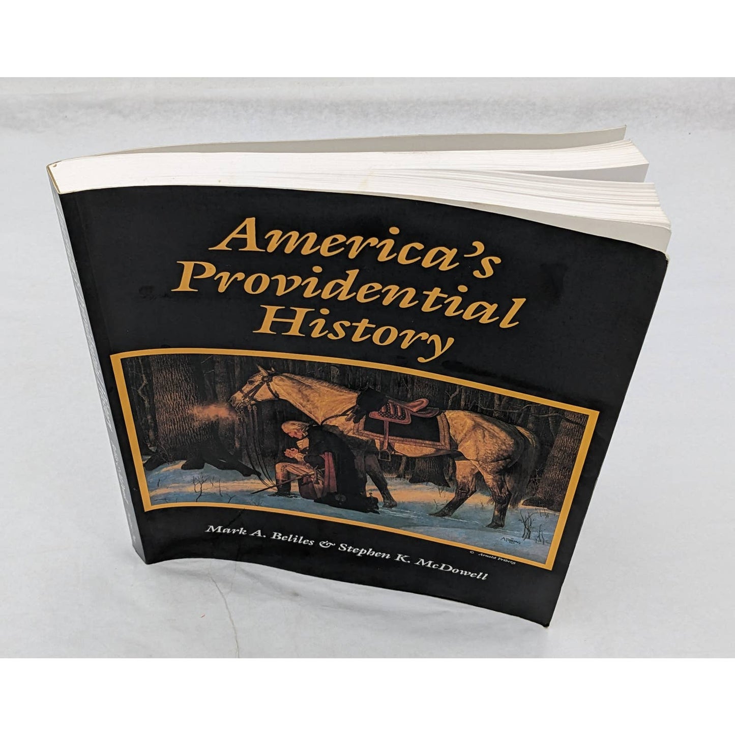 America Providential History Paperback Biblical Principle Education 1989