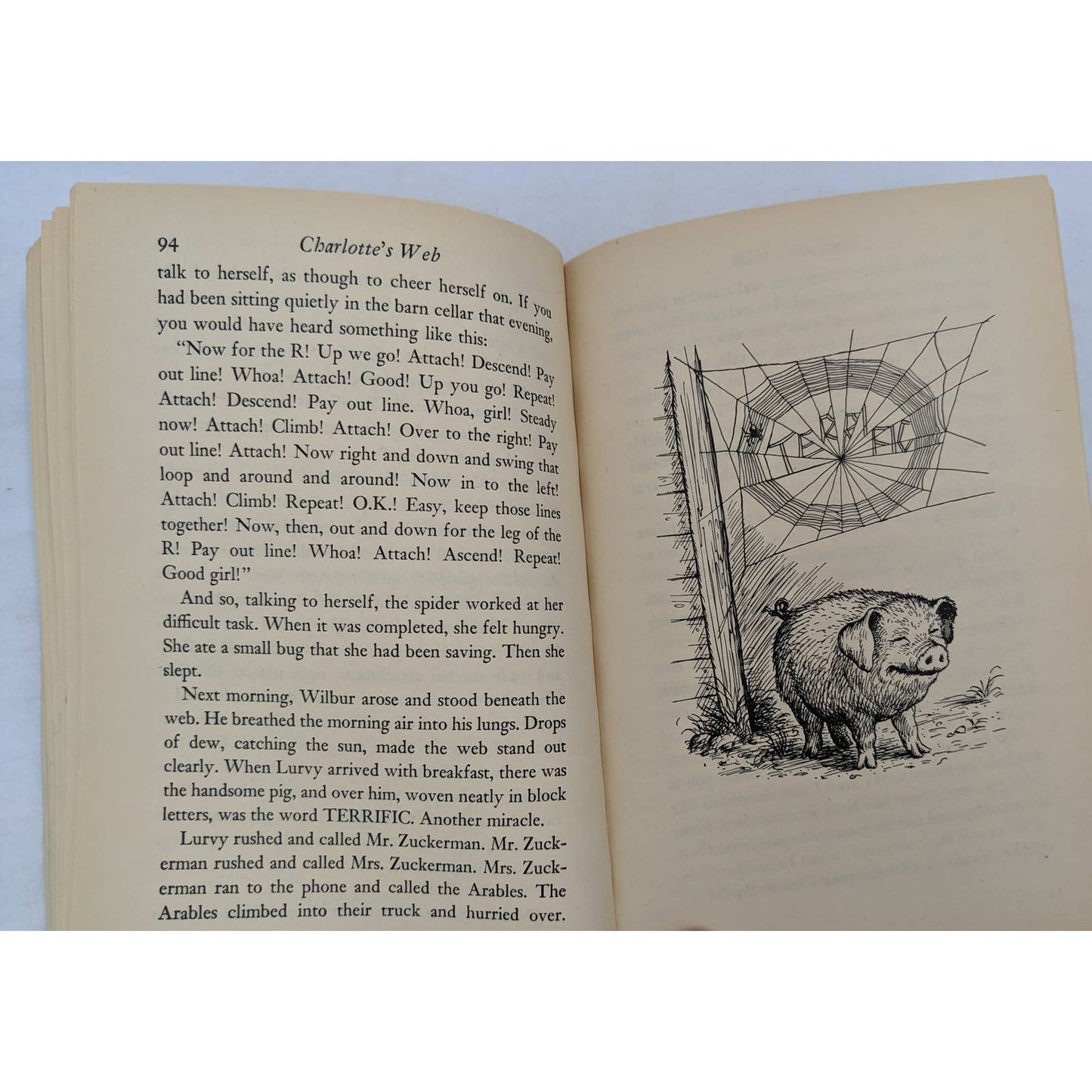 Charlotte's Web By E. B. White Vintage Childrens Novel Paperback 1972
