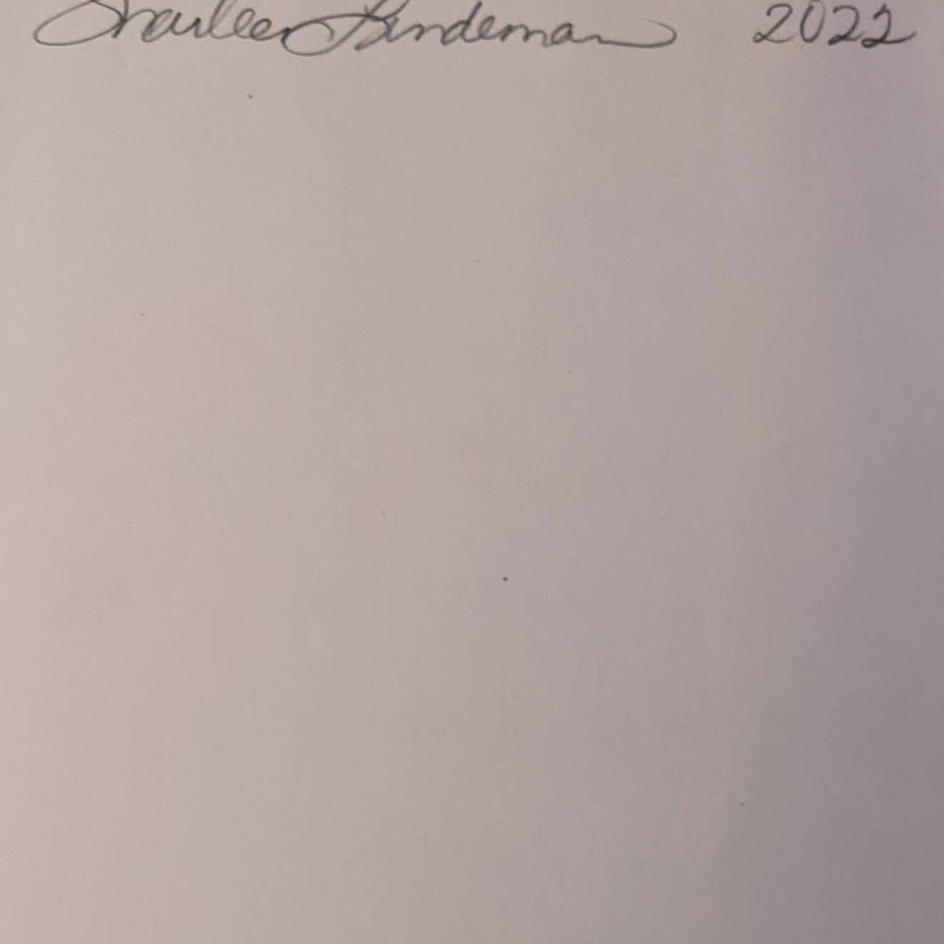 Vintage To The Castle 1957 Book By Dorothea Malm "A Must For Du Maurier Fans"