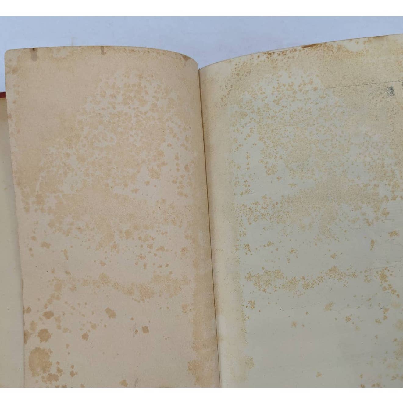 Little Dorrit Dickens In Two Books By Charles Dickens