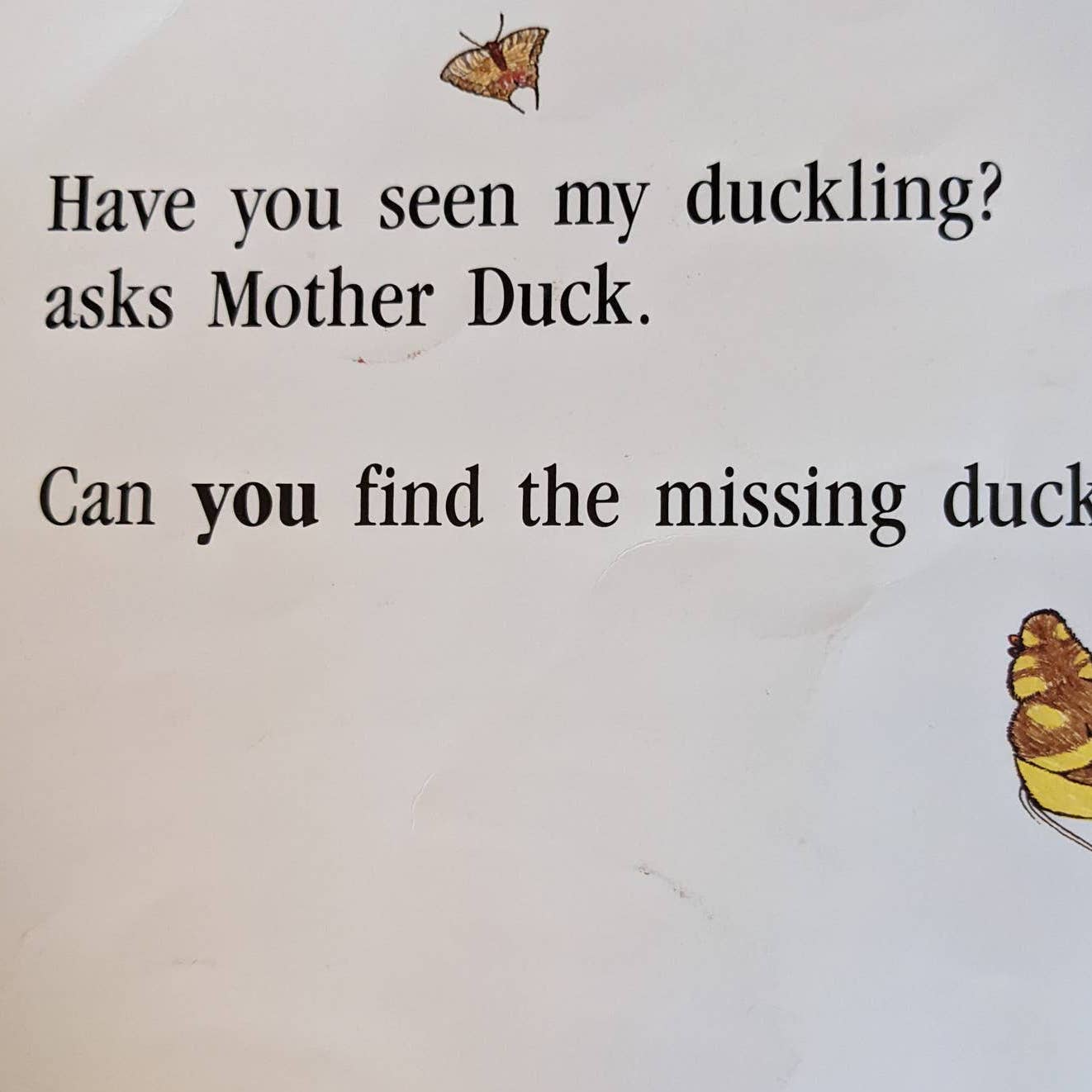 Have You Seen My Duckling? By Nancy Tafuri Scholastic Childrens Book