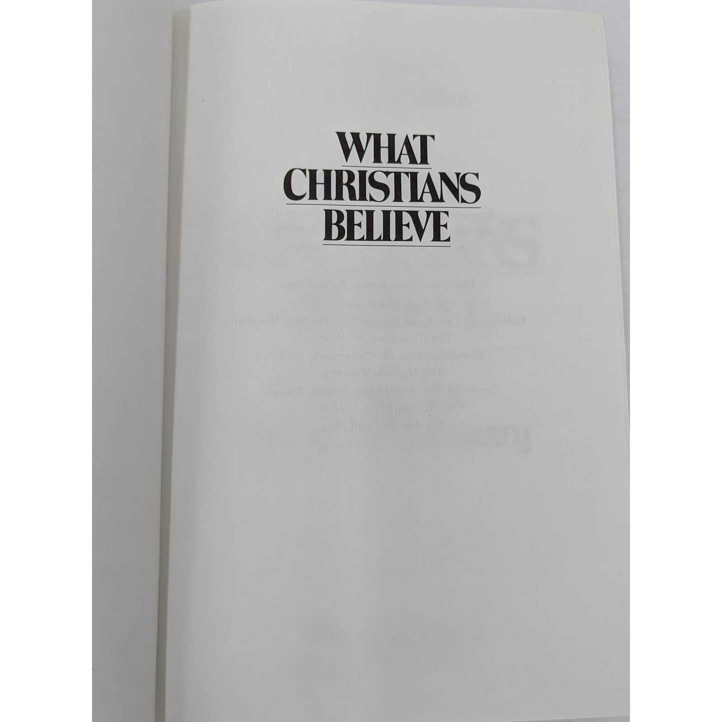 What Christians Believe A Biblical Historical By Alan F. Johnson Theology 1989