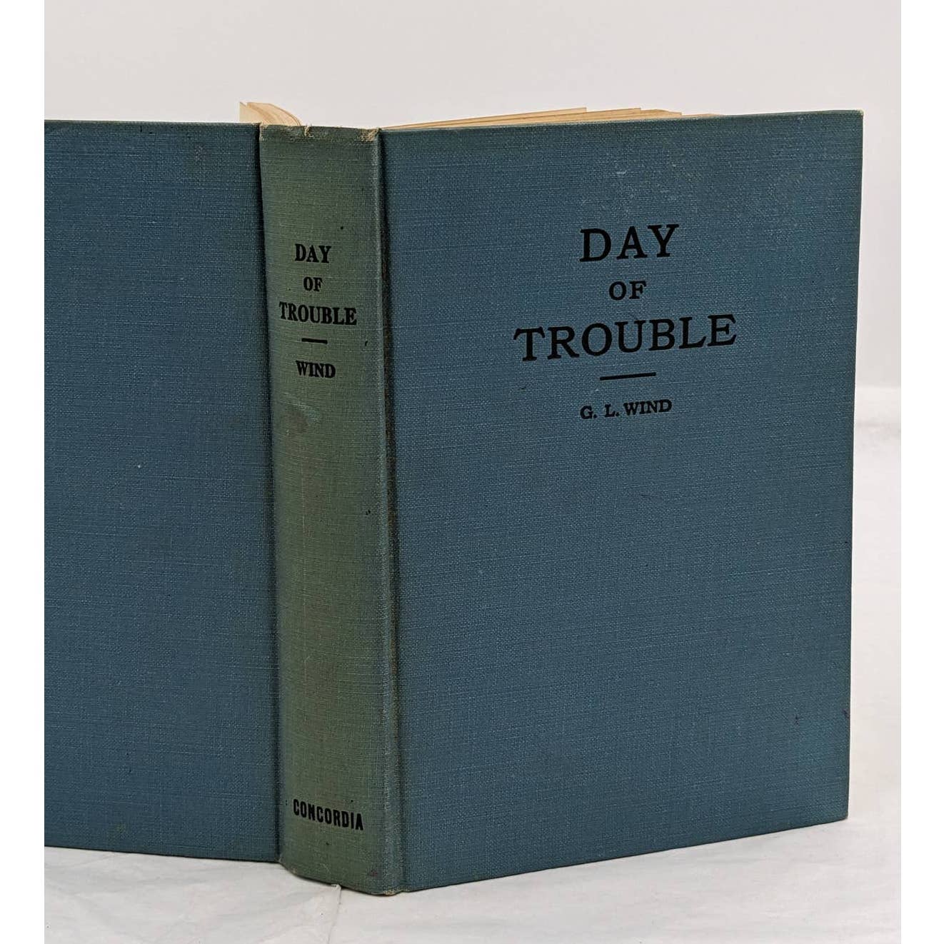Day Of Trouble By G.L. Wind Vintage Novel Book 1931