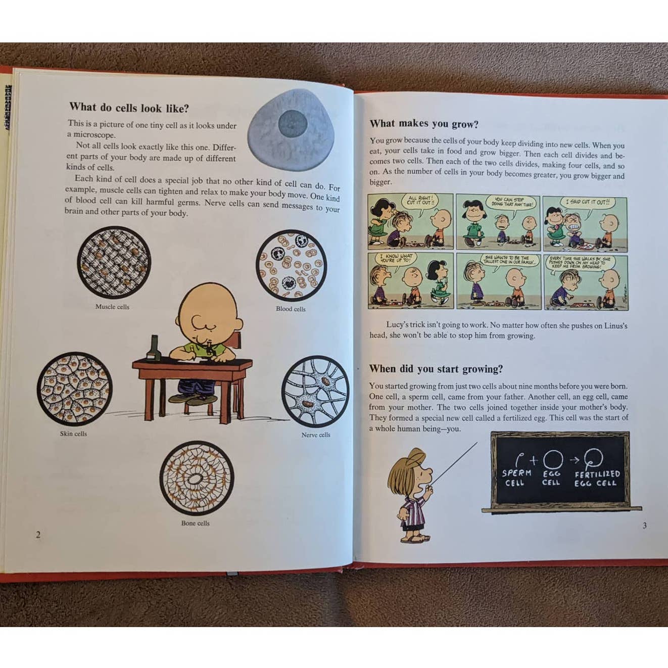 Charlie Brown's Cyclopedia, Featuring Your Body Volume 1 By Charles M. Schulz