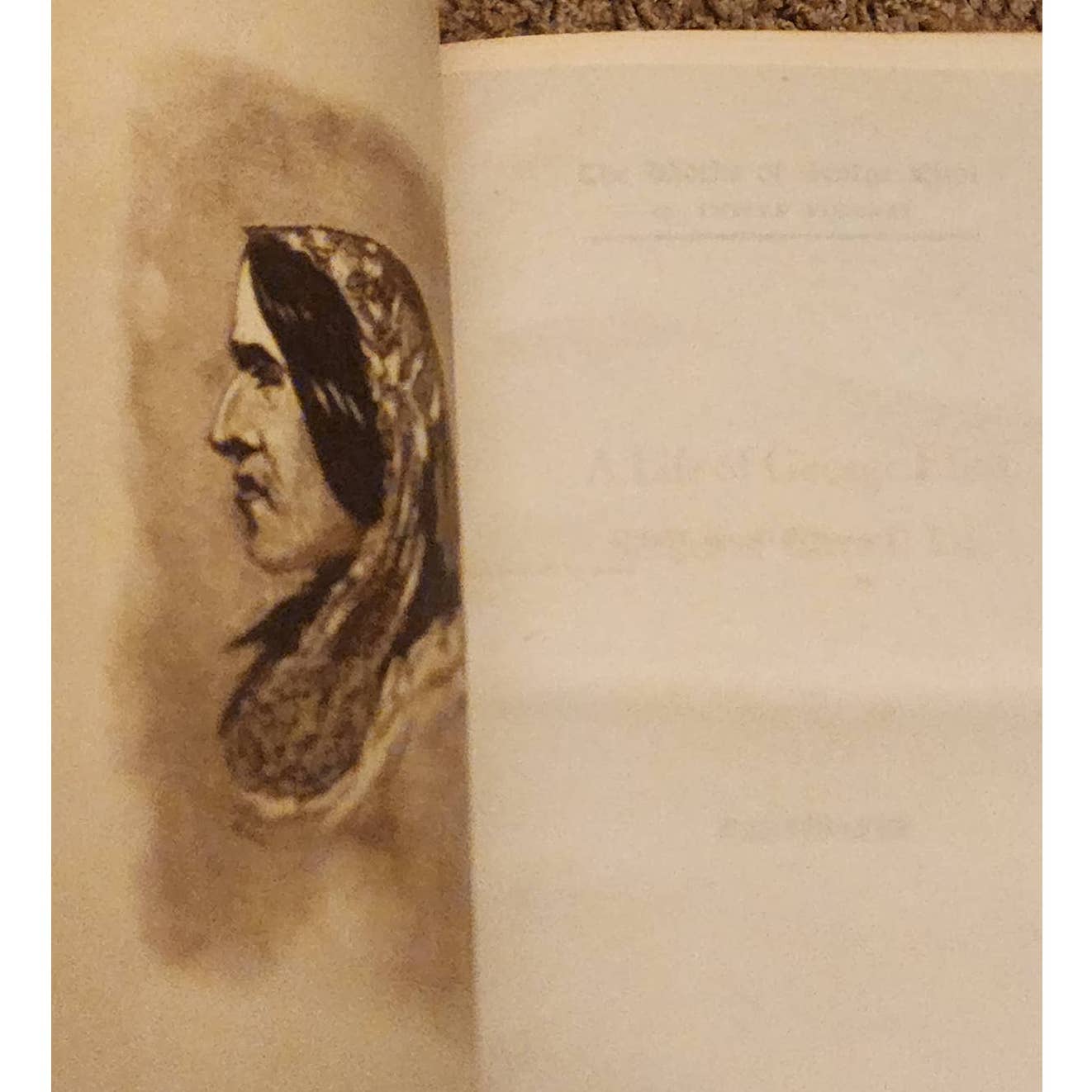 The Works Of George Eliot 9 Volumes Set Antiquarian Antique Books Mary Ann Evans