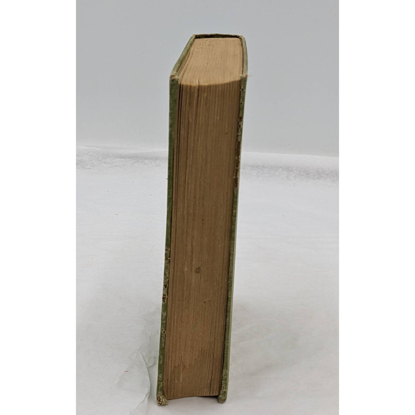 Burned Bridges By Bertrand W. Sinclair Vintage Antiquarian Novel 1920