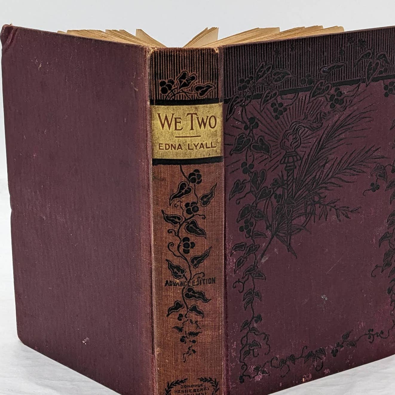 We Two By Edna Lyall Novel Book Antiquarian