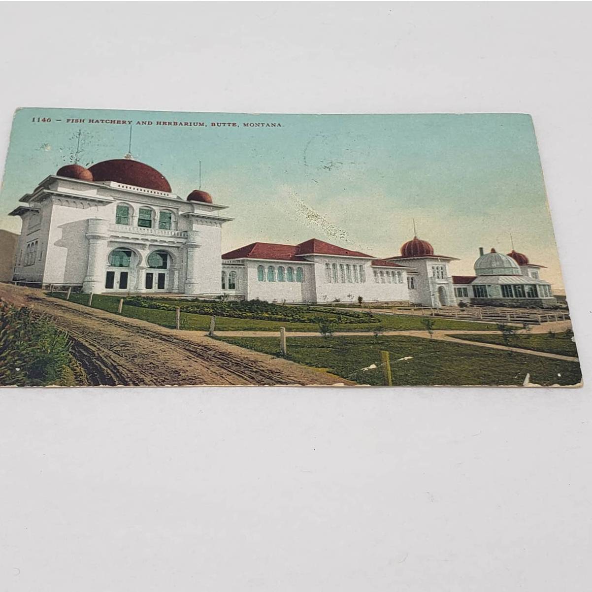 C1909 Fish Hatchery Herbarium Butte Montana Columbia Gardens Antique Postcard