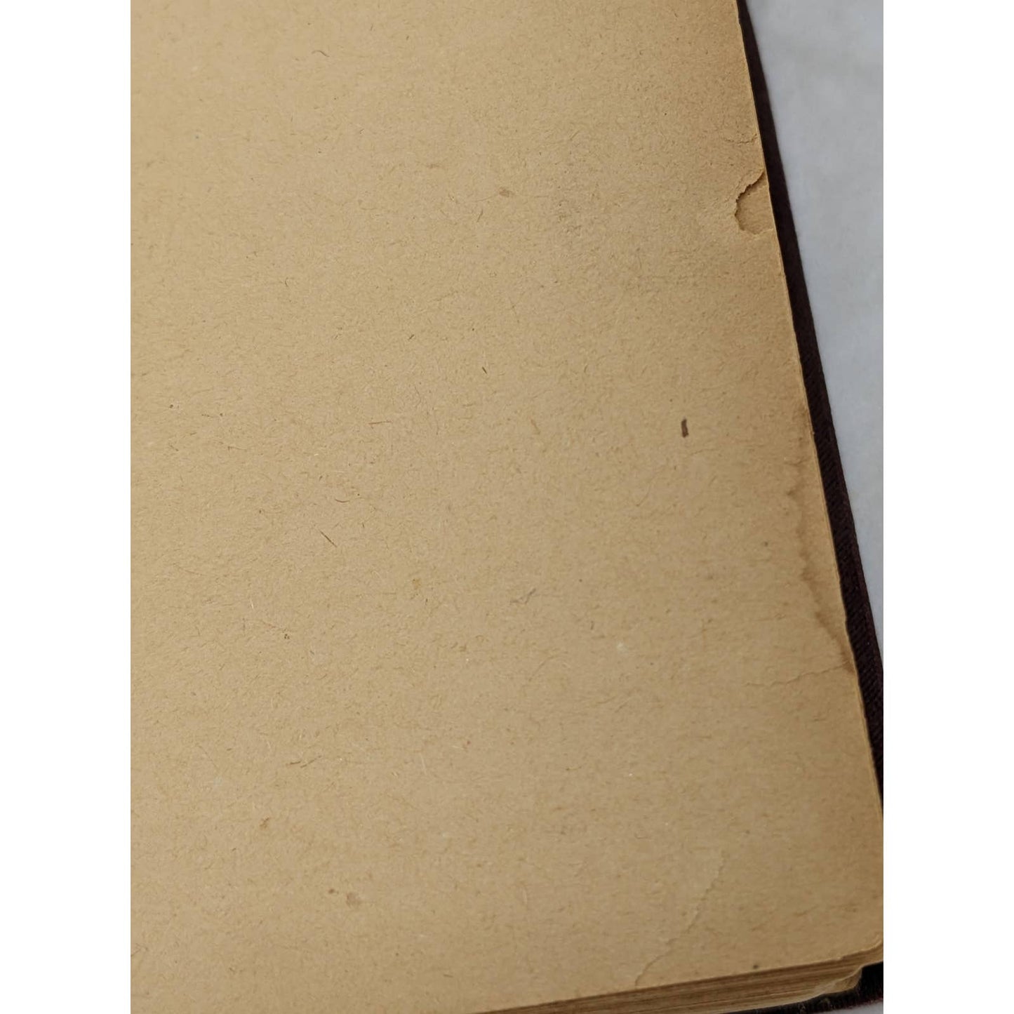 We Two By Edna Lyall Novel Book Antiquarian