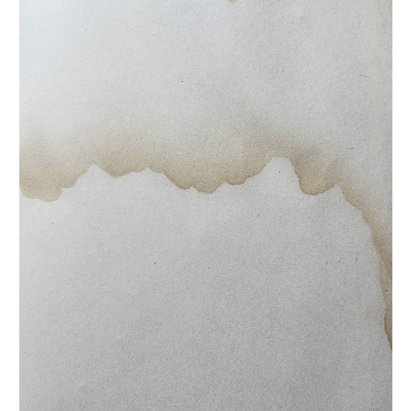 Sweet Cicely Or Josiah Allen A Politician By Marietta Holley, Antiquarian 1887