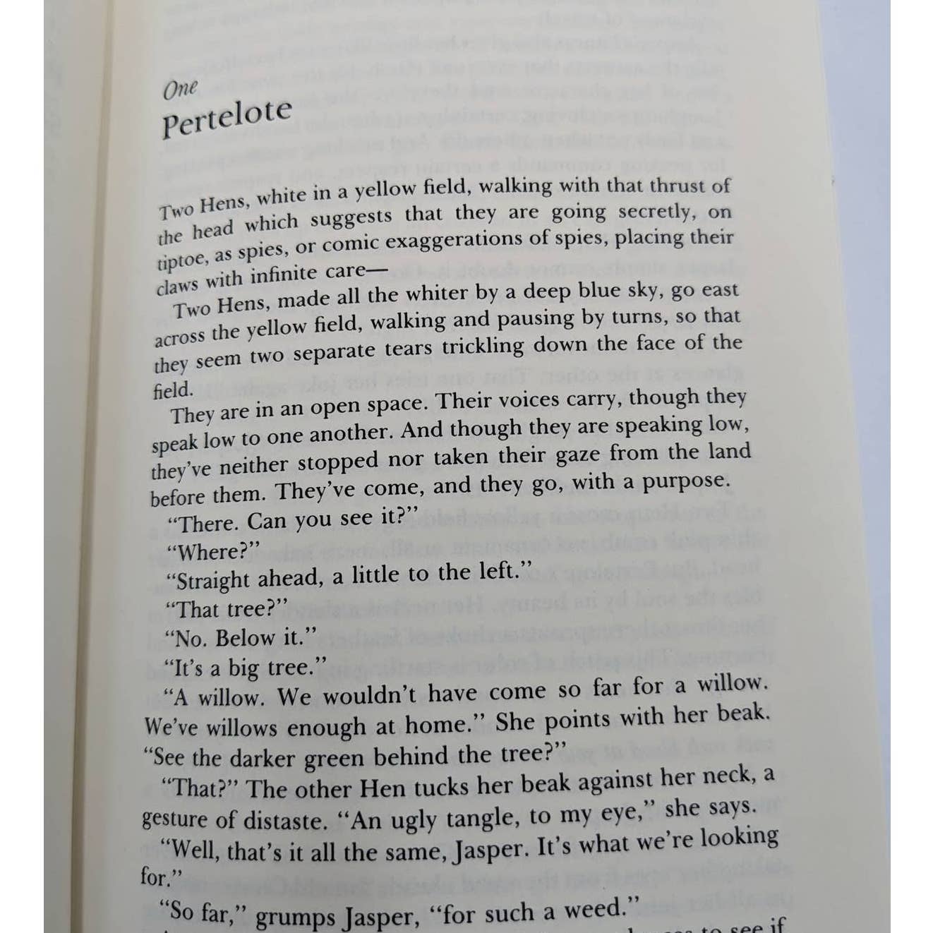 The Book Of Sorrows By Walter Wangerin, Jr Vintage Hardcover First Edition 1985