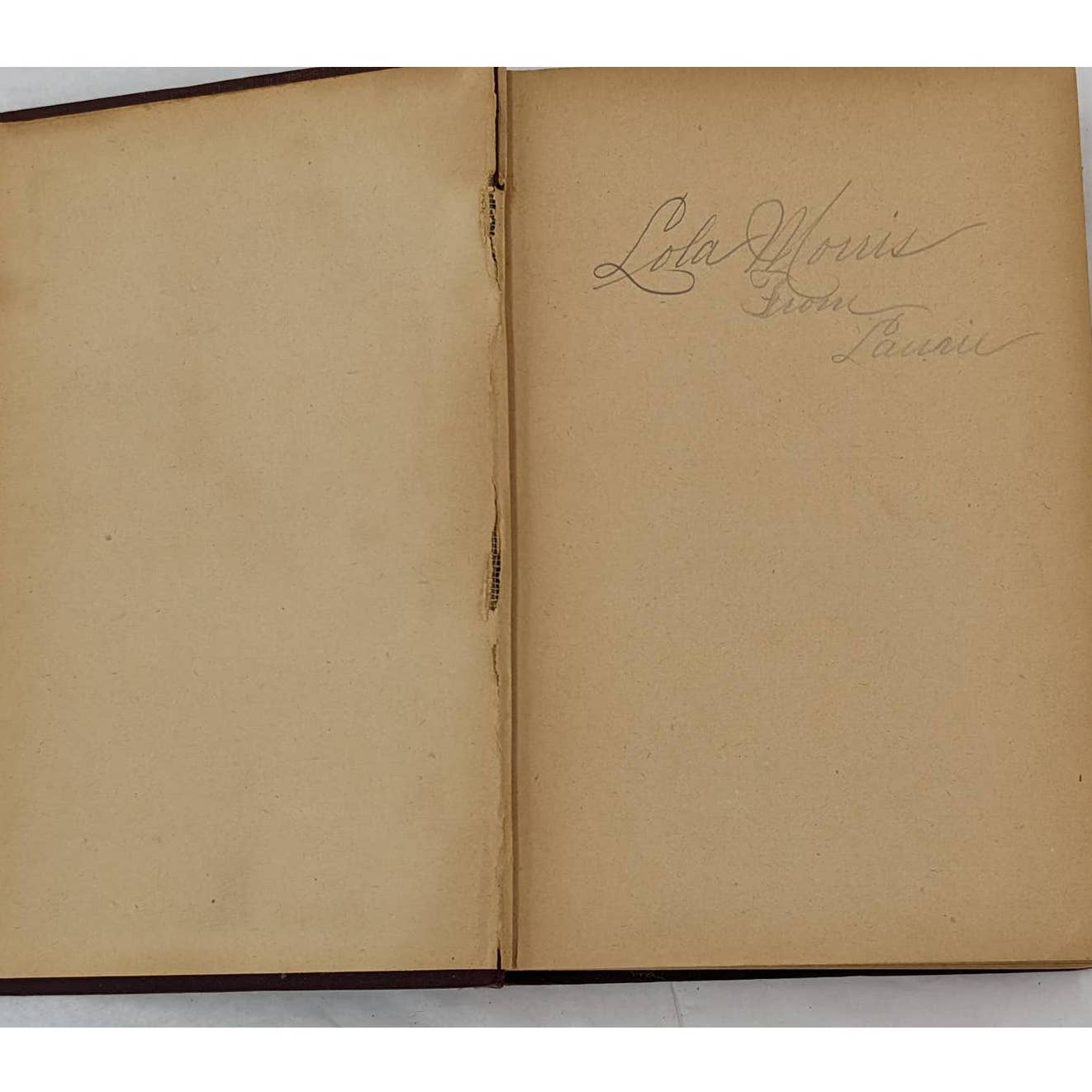 We Two By Edna Lyall Novel Book Antiquarian