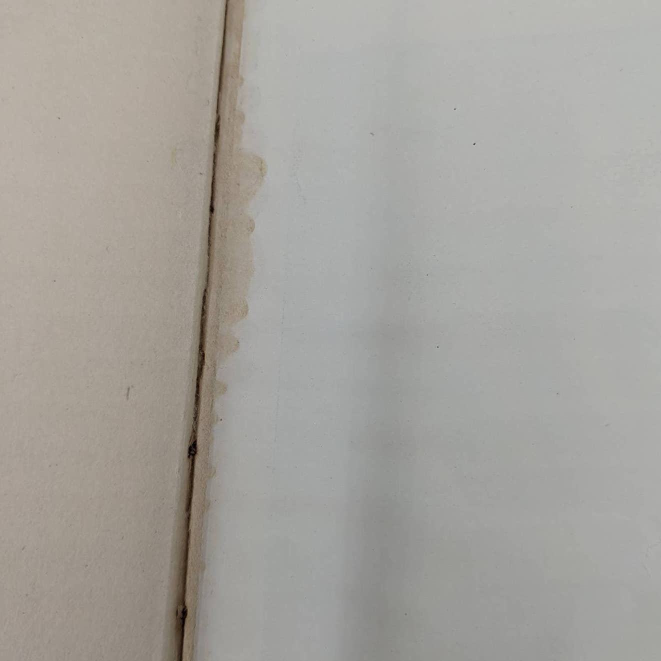 The Primrose Ring By Ruth Sawyer Antiquarian Book Novel Early Edition 1915