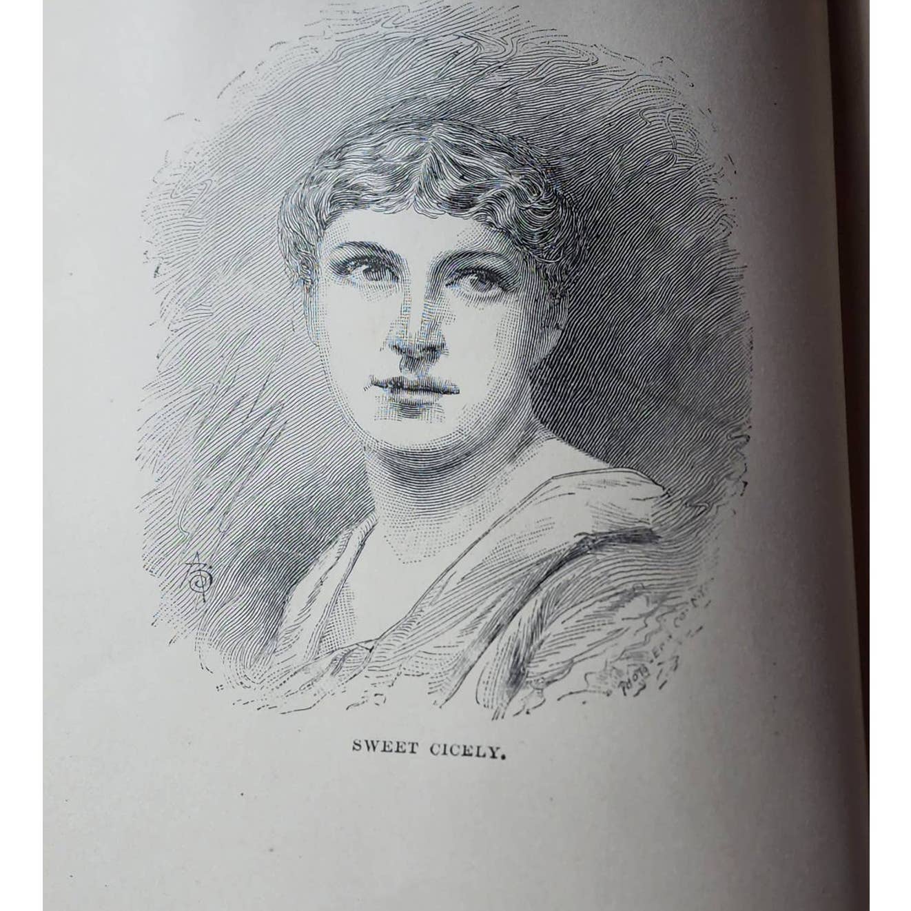 Sweet Cicely Or Josiah Allen A Politician By Marietta Holley, Antiquarian 1887