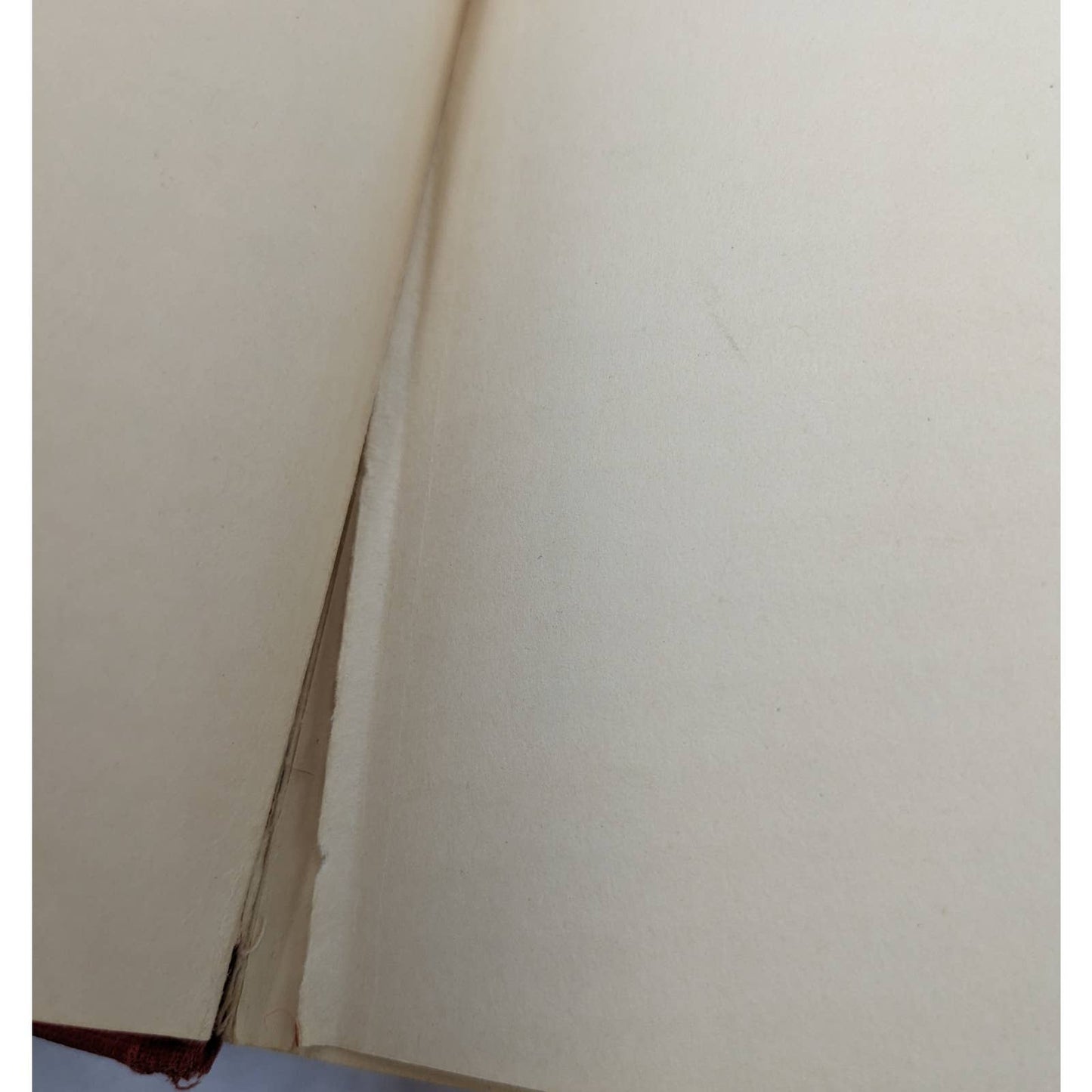 The Grasp Of The Sultan By Demetra Kenneth Brown Antique Book Antiquarian 1916