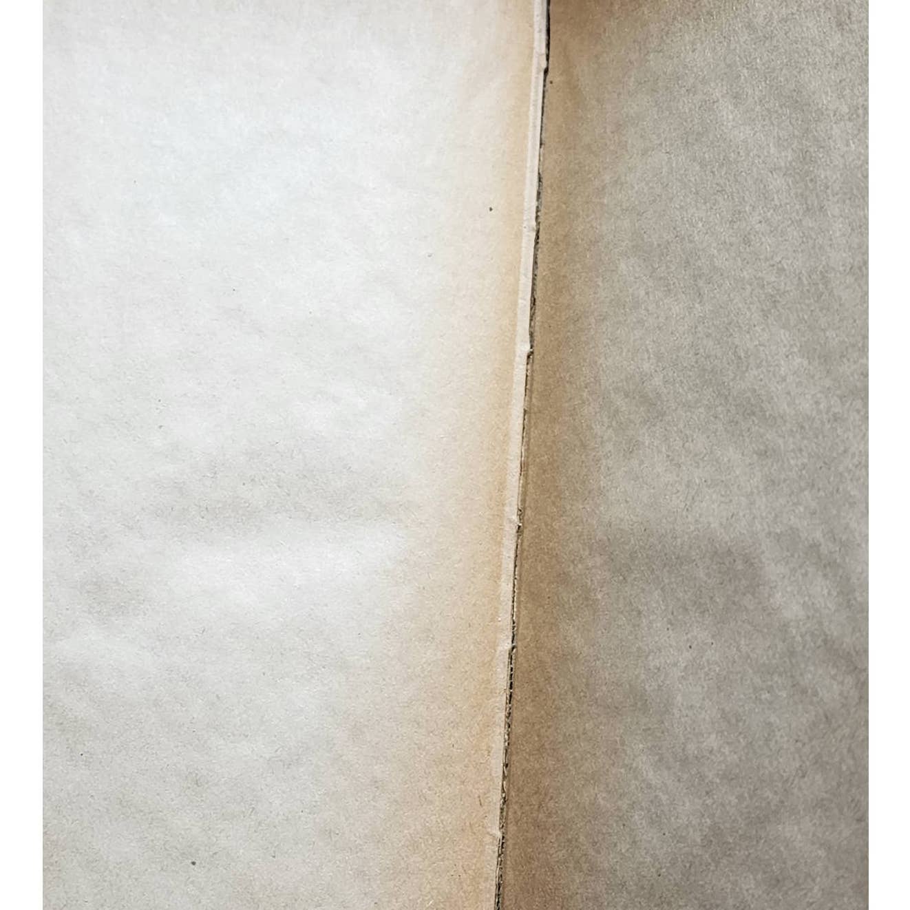 David Copperfield By Charles Dickens, Companion Books, Antiquarian Book